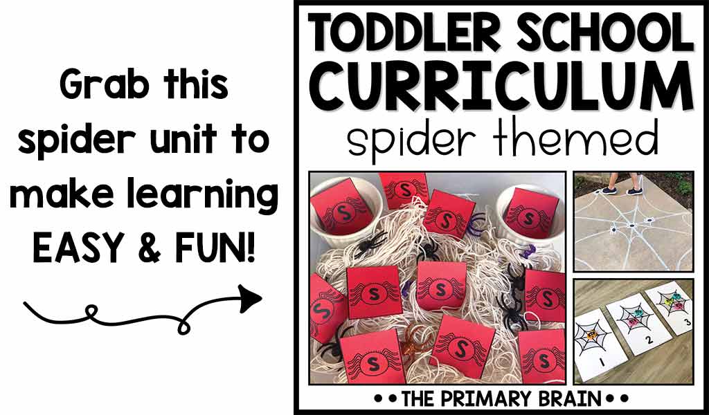 Letter S Spider Activities