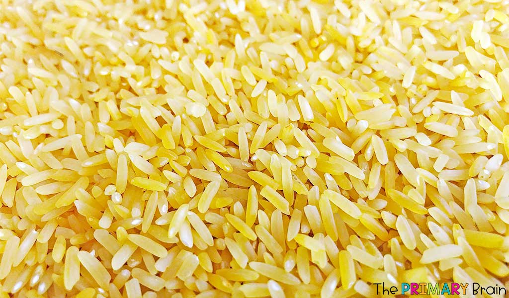 Lemon Sensory Rice