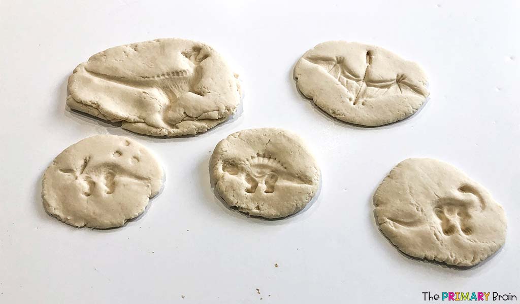 How to Make Dinosaur Fossils