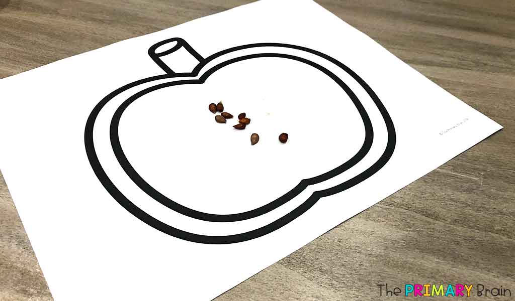 Apple Seed Craft