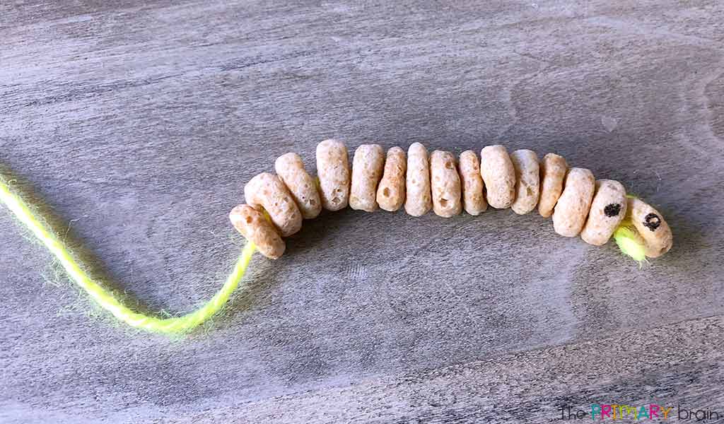 Butterfly Caterpillar