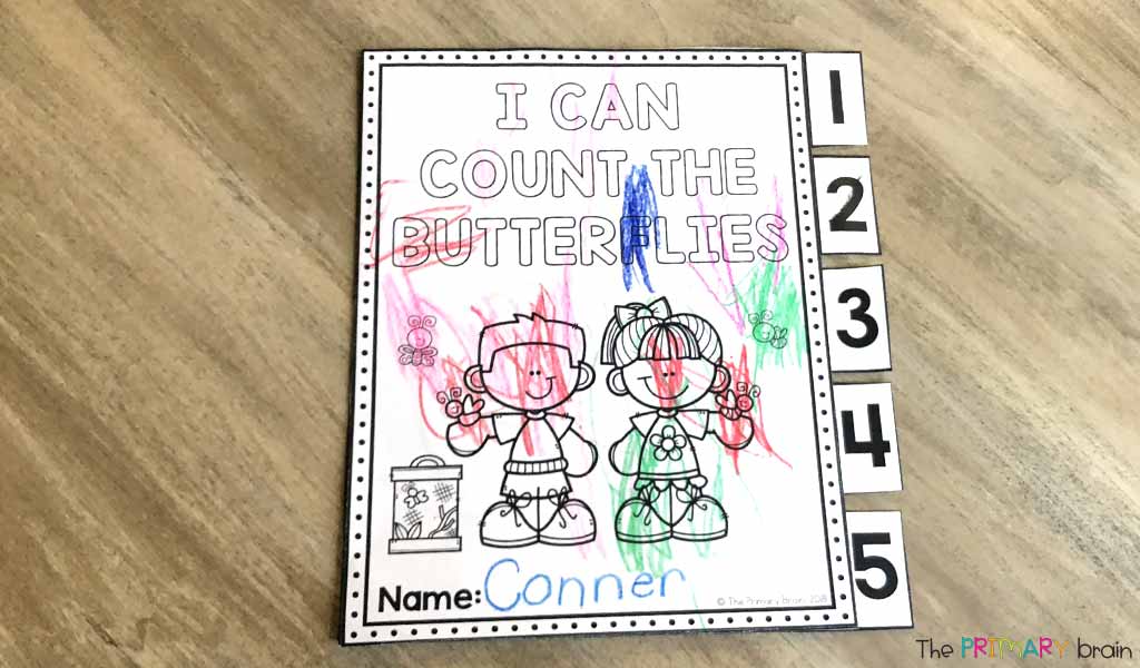 Butterfly Counting